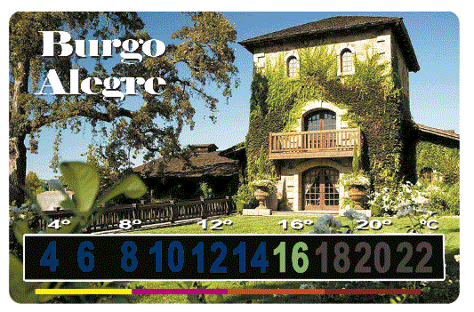 termometros para vinos